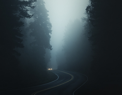 Полицейское оцепление и агенты ФБР: кадры с места стрельбы на приеме с Трампом