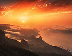 Сотрудники КОШКИСПАС вызволили лису из бассейна в Отрадном