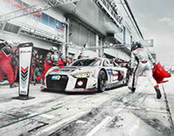 Max расширил возможности создания Цифрового ID