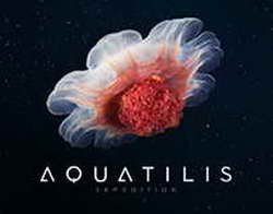 Китайские специалисты заявили, что нашли в Claude Code скрытую передачу данных пользователей