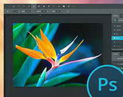 Ленинградцев приглашают на соревнования по пляжному волейболу в Токсово
