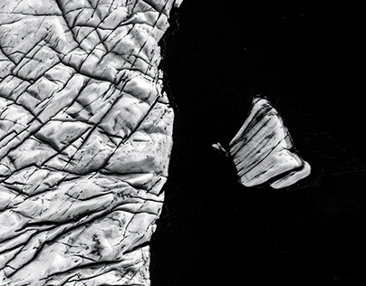 Литературная игра В волшебной Пушкинской стране прошла в библиотеке  3 Брянска