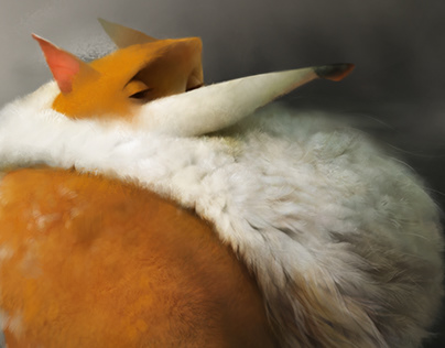 Жителей Камчатки предупредили об учениях на полигоне Кура