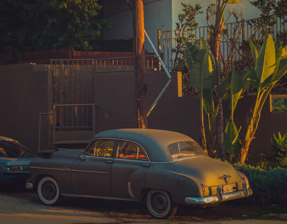 Президент Польши Навроцкий лишил Зеленского Ордена Белого Орла